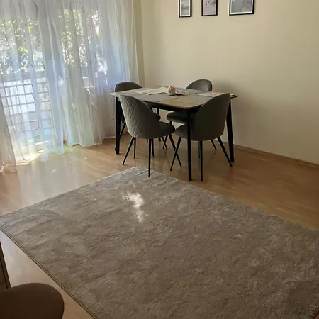 Rezi * Eğri